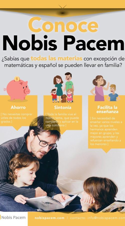 ahorro_libros_materias_juntos